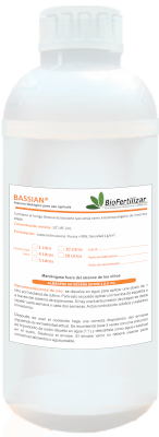 Bassian