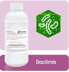 Bacilmix view
