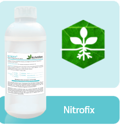 nitrofix-view